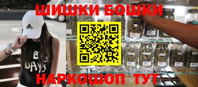 индика Партизанск