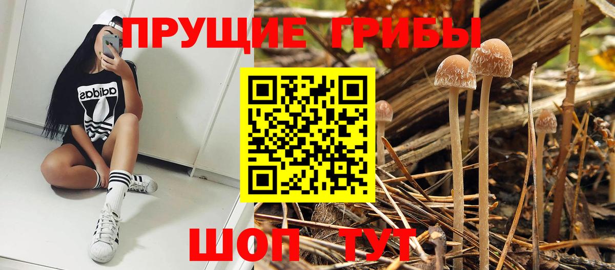 Таганрог  Псилоцибиновые грибы Psilocybine cubensis  Псилоцибиновые грибы MAGIC MUSHROOMS  Вход с VPN 